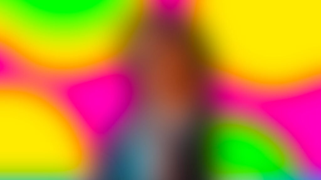 Image d'un dj se produisant au festival Icon Fest